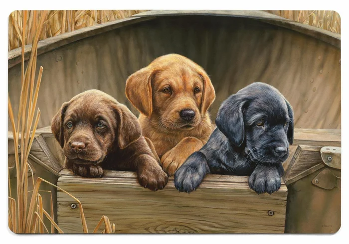 2′ x 3′ All Hands on Deck Lab Puppies Floor Mat by Rosemary Millette