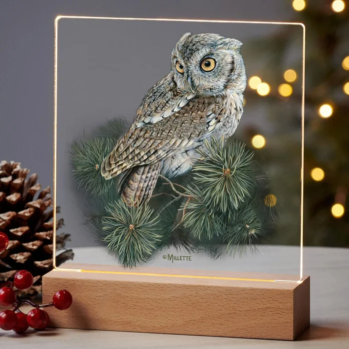 7.25″ Screech Owl Acrylic LED Lighted Night Light