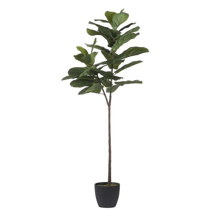 A&B Home Fiddle-Leaf Fig Tree – Green