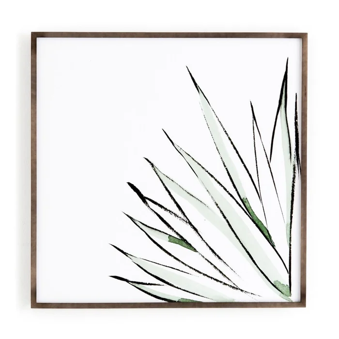 Agave Crop by Jess Engle