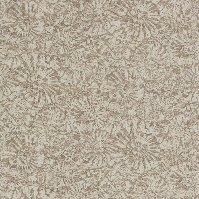 Anthology Ammonite Wallpaper – Shell – EANW112564 – Harlequin