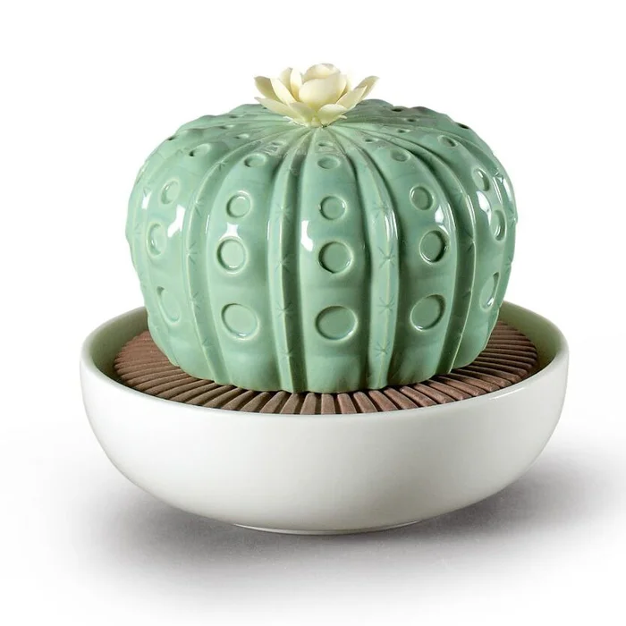 Astrophytum Cactus Diffuser