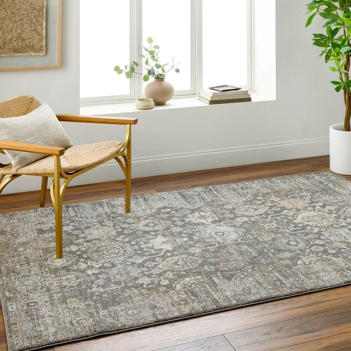 Catarino Traditional Black/Light Gray Area Rug