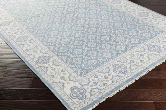 Colquitt Traditional Slate/Light Gray Area Rug