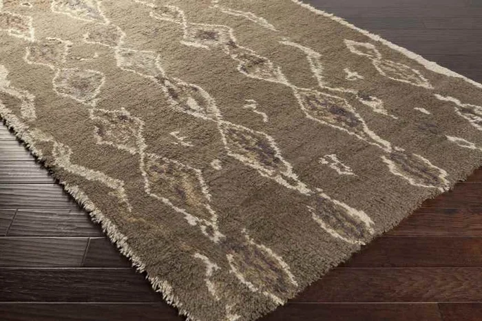 Cusseta Modern Taupe Area Rug