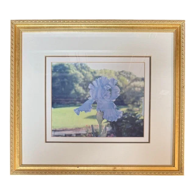 Custom Framed Blue Iris Photograph