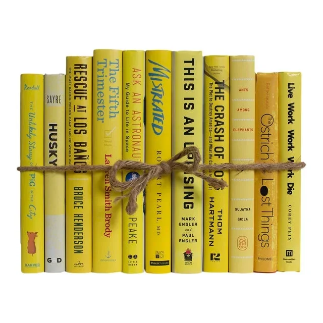 Decorative Books – Sunshine Dust Jacket Book Bundle – 1 Foot of Yellow Books