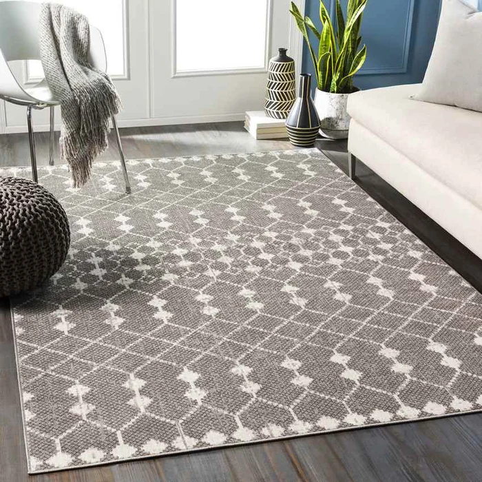 Donderen Global Light Gray Area Rug