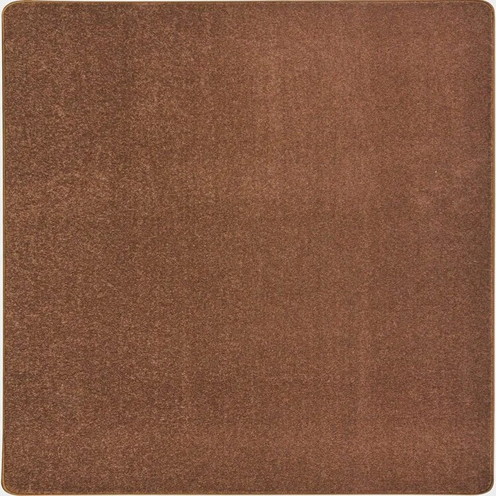 Endurance 6′ x 6′ area rug in color Brown
