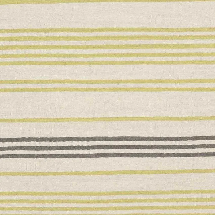 Epes Modern Lime/Gray Area Rug