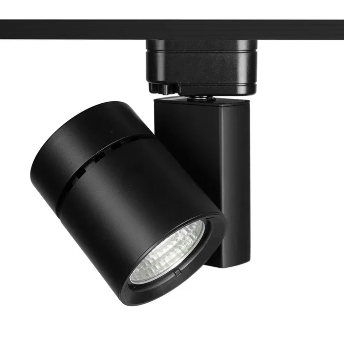 Exterminator II LED 52W Track Head