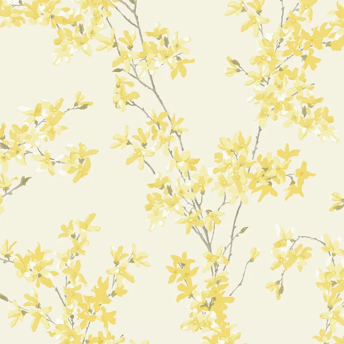 Forsythia Wallpaper – Sunshine