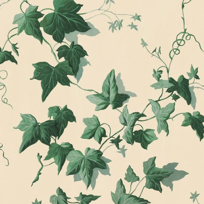 Hedera Wallpaper
