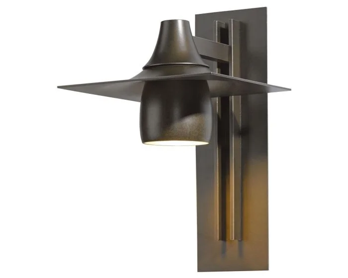 Hubbardton Forge Hood Large Dark Sky Outdoor Sconce in Coastal Bronze