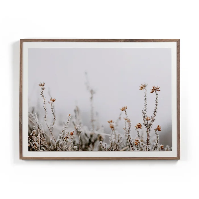In The Details II by Annie Spratt