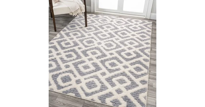JONATHAN Y Lighting Santa Theresa 4′ x 6′ Shag Polypropylene Trellis Indoor Rectangular Area Rug
