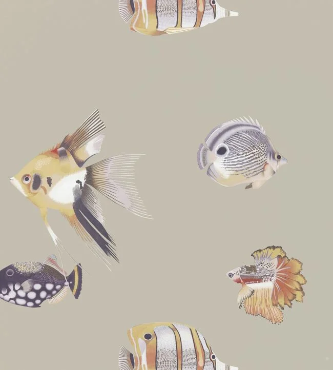 Kamanu Wallpaper – Mandarin/Fig – HANZ111647 – Harlequin