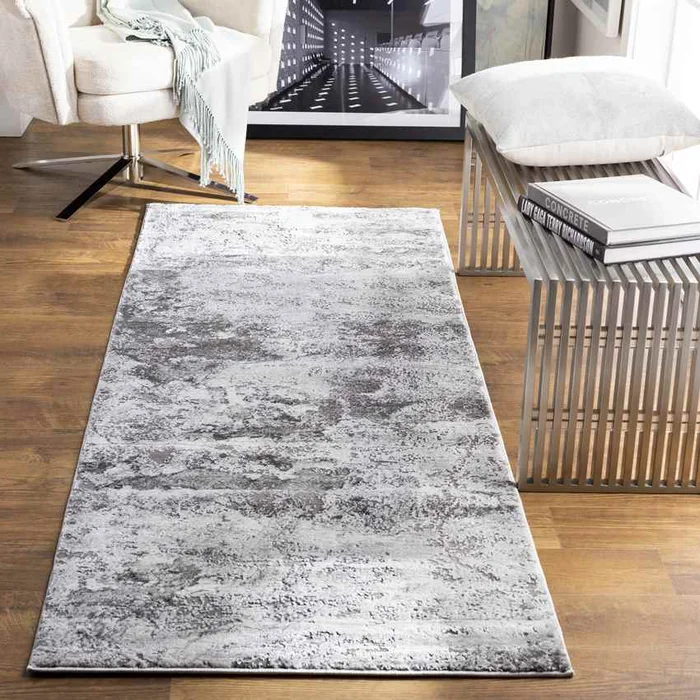 Landgraaf Modern Medium Gray Area Rug