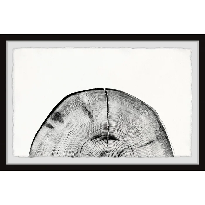Marmont Hill Withered Stump Framed Painting Print