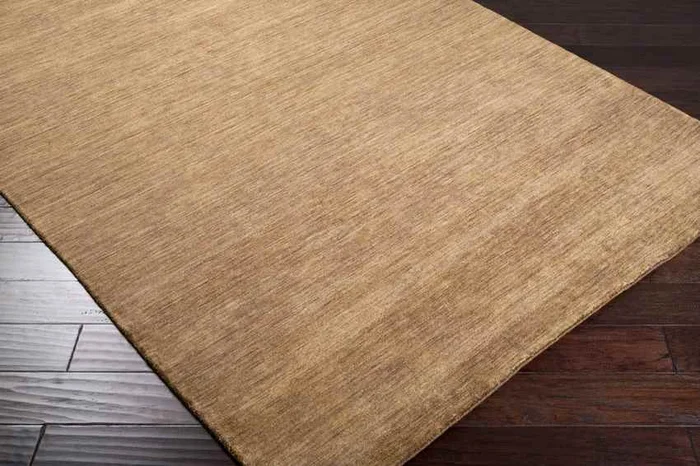 Montezuma Modern Brown Area Rug