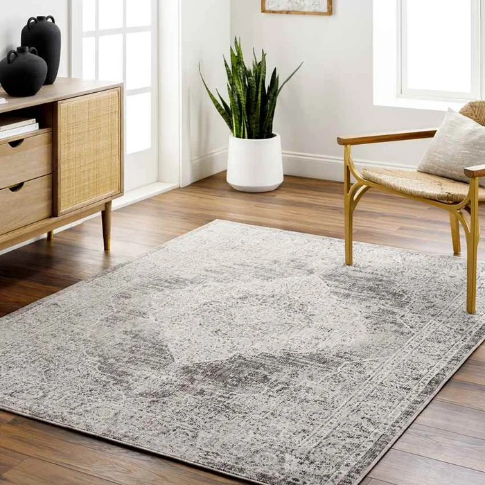 Mullinville Traditional Beige Area Rug