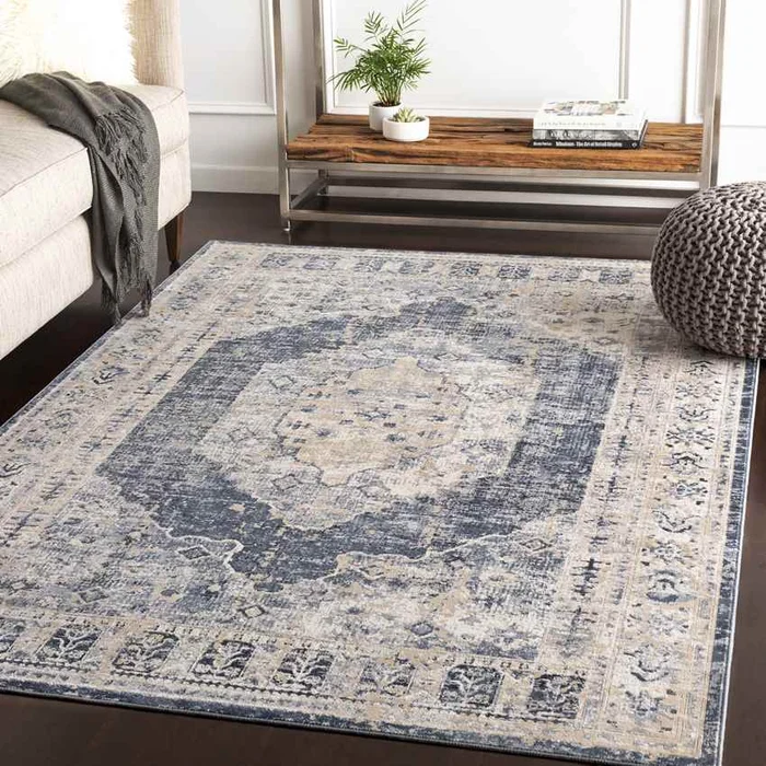 Paesens Traditional Taupe Area Rug