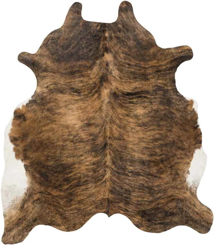 Page Rustic Camel Area Rug
