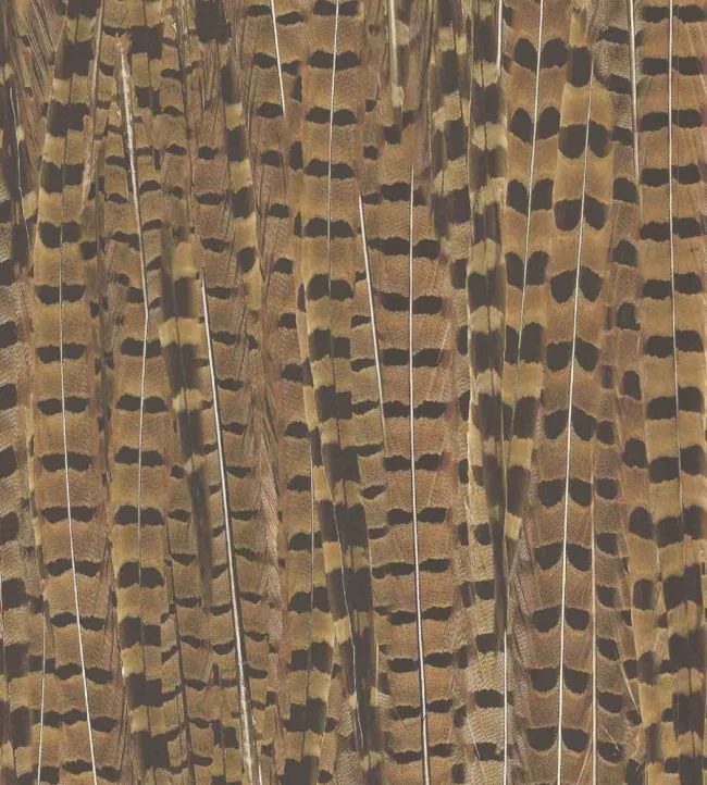 Pheasant Fabric – Brown