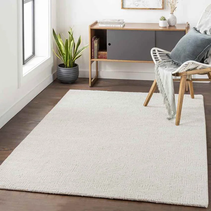 Ragaz Modern Taupe Area Rug