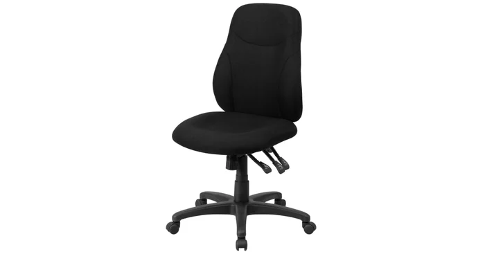 Roseto 24.75 Inch Wide Fabric Swivel Task Chair