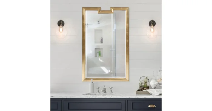 Roseto Danube 30″ W x 48″ H Rectangular Wood Framed Bathroom Mirror