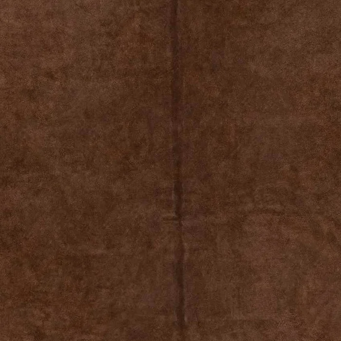 Schafelt Rustic Dark Brown Area Rug