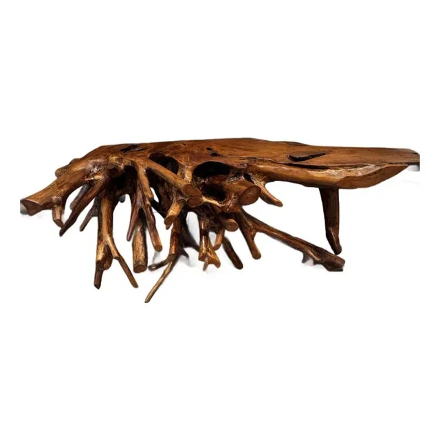 Sculptural Teak Root Console Table – Organic Modern