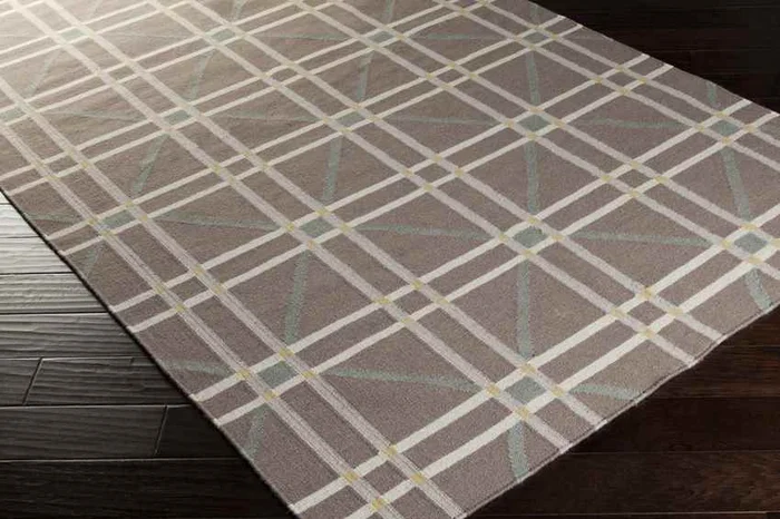 Silverhill Modern Brown Area Rug