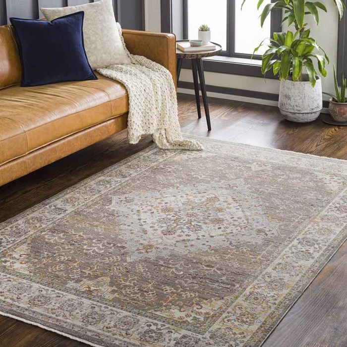 Todd Traditional Taupe Area Rug