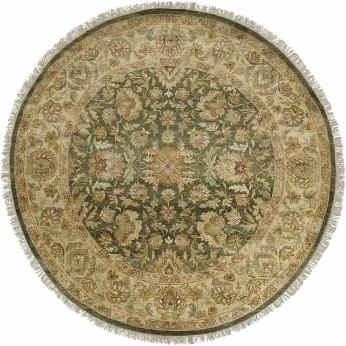 Vilas Traditional Green Area Rug