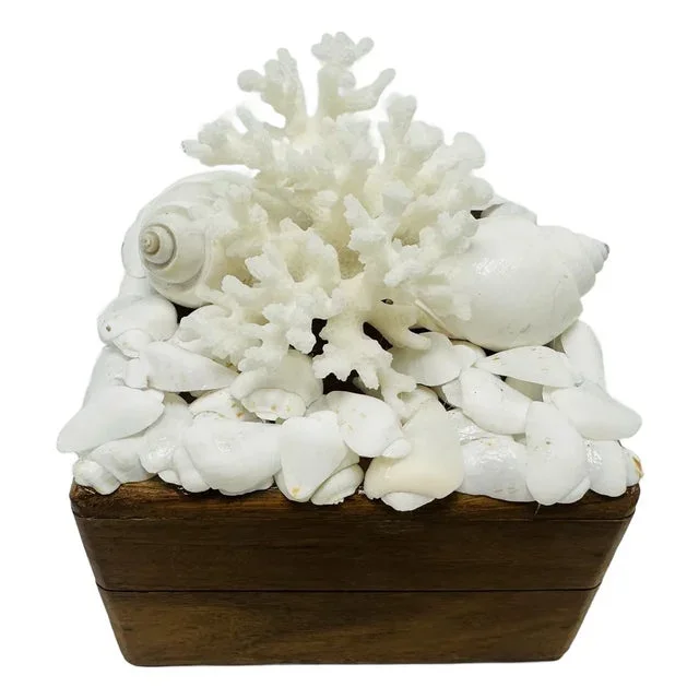 Vintage Box With Shells